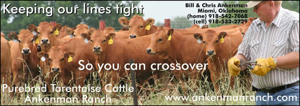 JoplinLivestockAdColor_0809_LinesTight